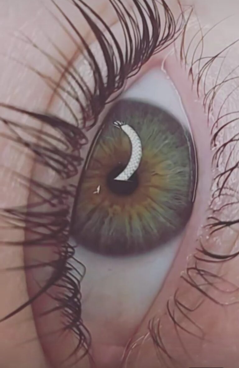 Wimpernlifting in Oberhausen – professionelle Kosmetikbehandlung bei MT Cosmetic für Kundinnen aus Oberhausen, Mülheim und Bottrop